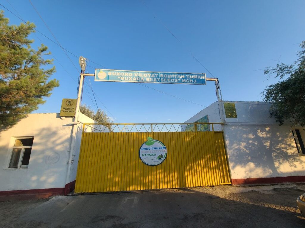 Buxoro viloyatida urug‘lik don tayyorlash va vernalizatsiya ishlari nazorat qilindi