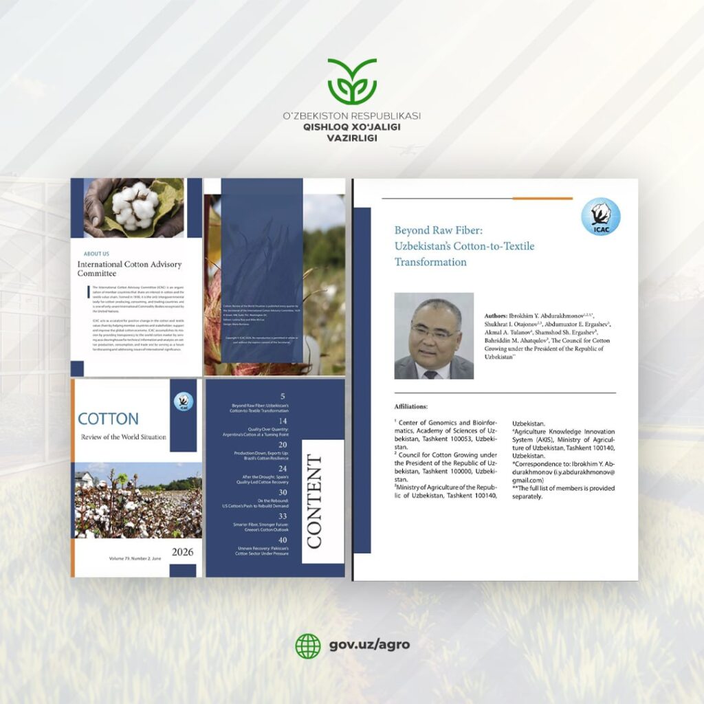 Xom toladan yuqori qo‘shilgan qiymatgacha: O‘zbekistonning paxta-to‘qimachilik transformatsiyasi