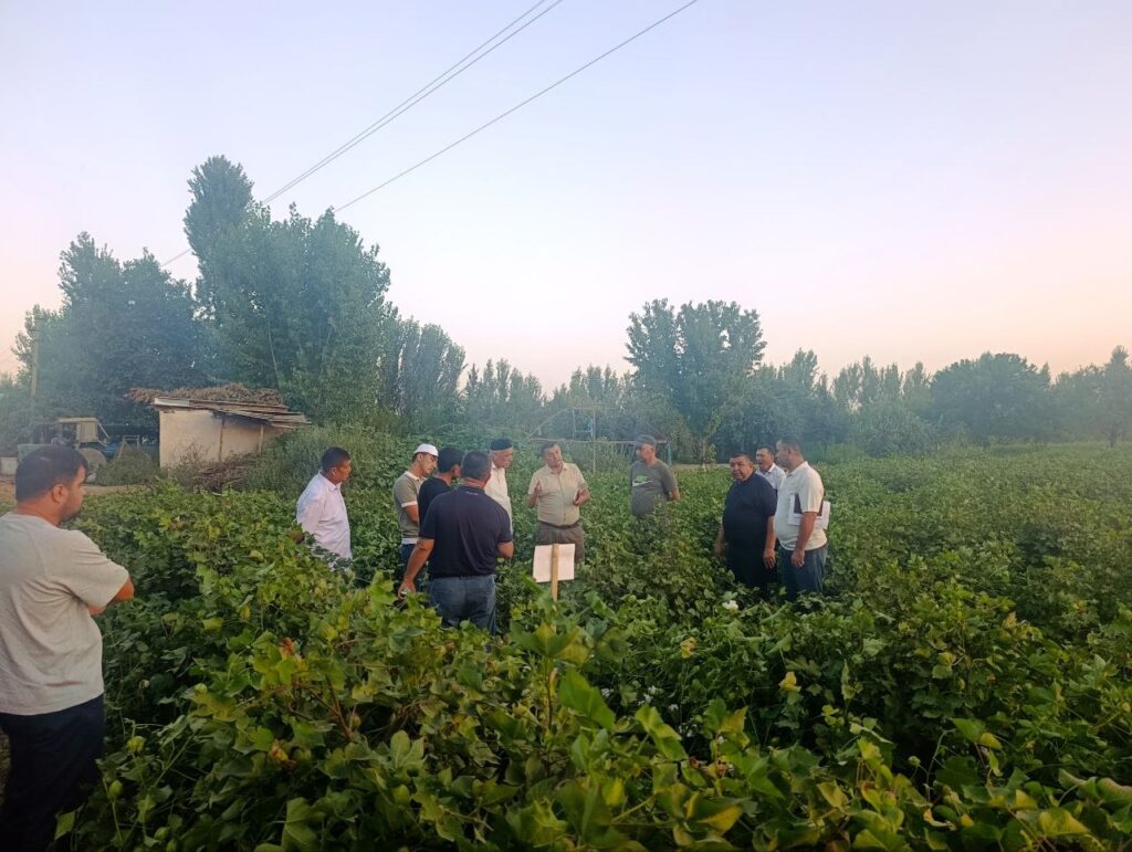 Oltinko'lda g‘o‘za aprobatsiyasi bo‘yicha amaliy seminar o‘tkazildi