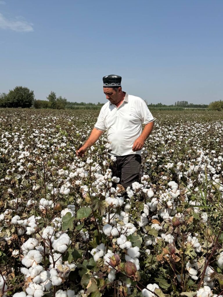 Mahalliy sharoitda urug'i tayyorlangan xorijiy g'o'za Xinluzhong-52 ekilgan maydonga etifon qo'llanildi