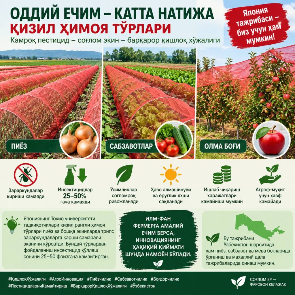 ODDIY YECHIM, KATTA NATIJA: QIZIL HIMOYA TO‘RLARI