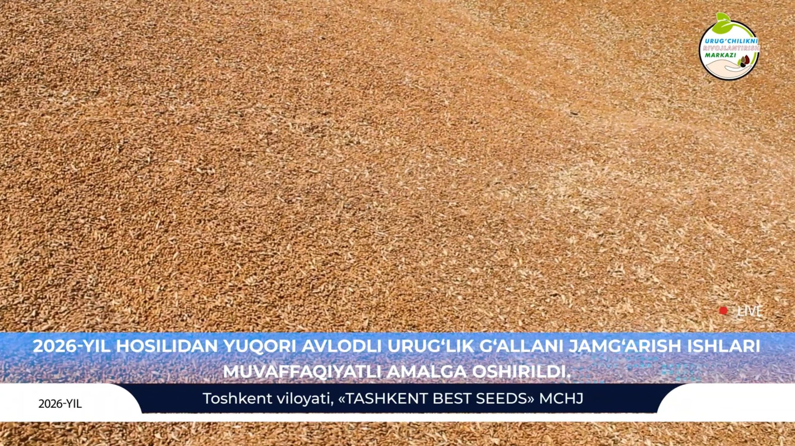 Hududlar